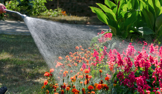 website post images (24)