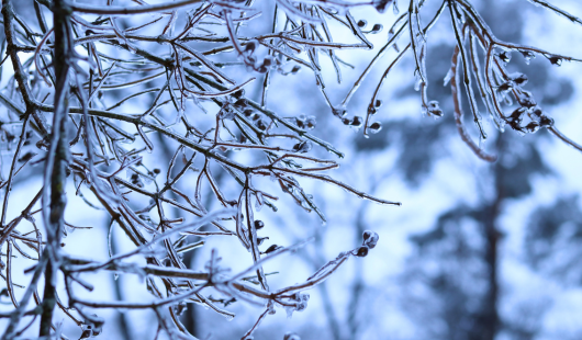 website post images (19)