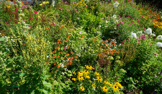 website post images (28)