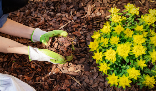 website post images (30)