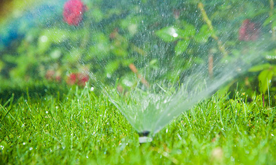 close-up-inground-lawn-sprinkler-water-spay