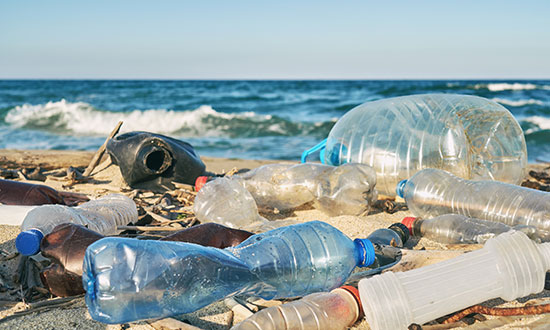 water-bottle-litter-on-ocean-beach