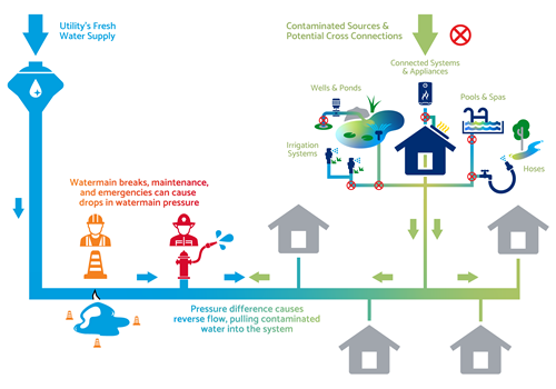 Cross Connections Infogram